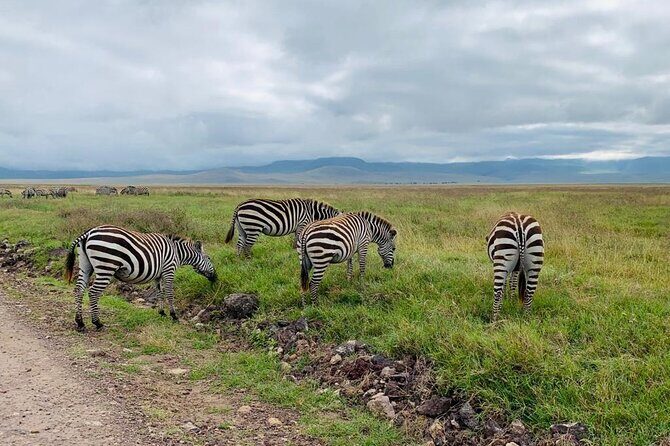 03 days Serengeti and Ngorongoro Crater group (camping) - Serengeti’s Endless Plains: What You’re Really Paying For