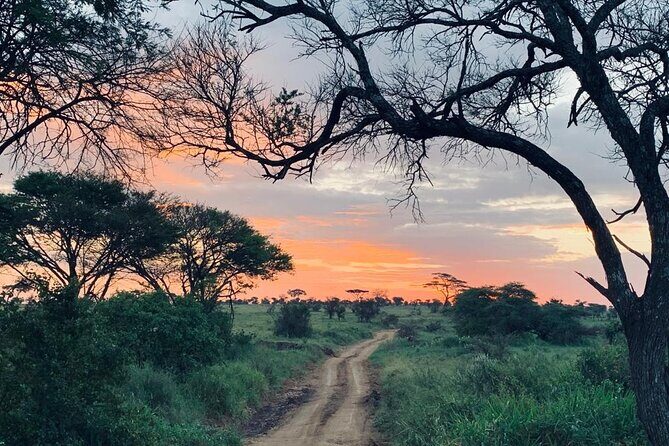 04 Days Tarangire, Serengeti and Ngorongoro crater group (Camping - Day 3: Ngorongoro Crater Rim Overnight at Ngorongoro Simba Campsite