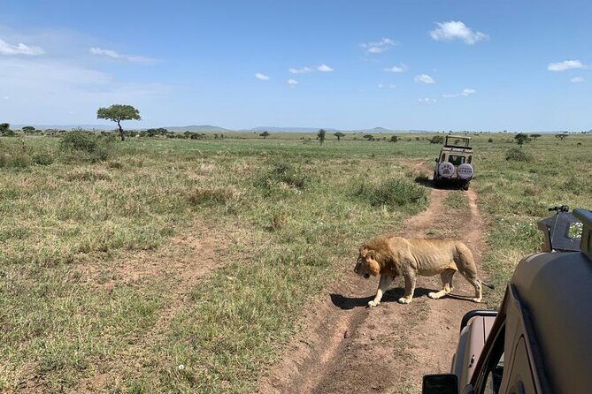 04 Days Tarangire, Serengeti and Ngorongoro crater group (Camping - Day 2: Serengeti via Ngorongoro Conservation Area, Naabi Hills, and Sunset at Seronera