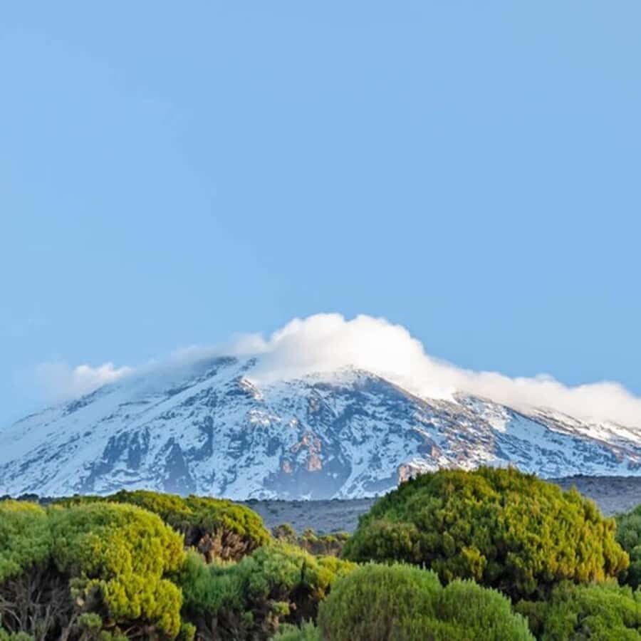 #1. Best Kilimanjaro Day hike Tour-Machame Route-ISMANI - Moshi vs Arusha: how your day starts changes the whole vibe