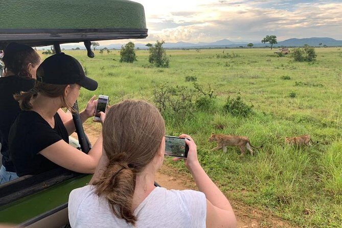 1 Day Safari to Mikumi National Park - The practical “one-day safari” advantage