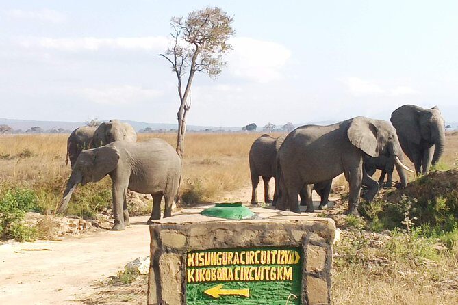 1 Day Safari to Mikumi National Park - Price and value: is $470 a smart use of time?