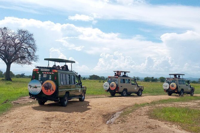 1 Day Safari to Mikumi National Park - Avoiding crowds: what private really changes