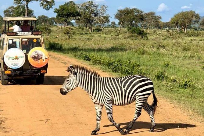 1 Day Safari to Mikumi National Park - From Dar es Salaam at 4:00am: what the day really looks like