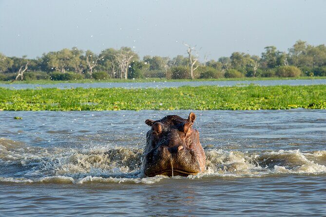 1-Day Selous (Nyerere National Park) Fly-In Safari from Zanzibar - Return Flight at Sunset: How the Ending Works