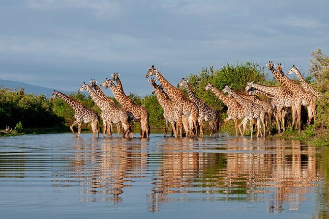 1-Day Selous (Nyerere National Park) Fly-In Safari from Zanzibar - Flight Timing From Zanzibar: Why the Start Matters