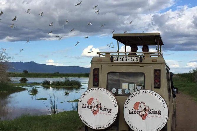 12 days Luxury Tanzania Honeymoon Safari and Zanzibar - Lake Manyara: flamingos, 500-plus bird species, and lions in trees