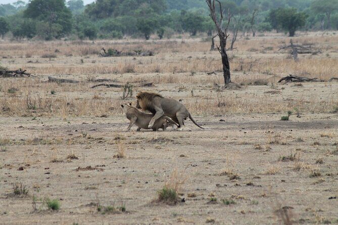 2-Day Private Mikumi National Park Tour with Pickup - Morogoro and Uluguru Mountains: Lunch With a View That Resets You