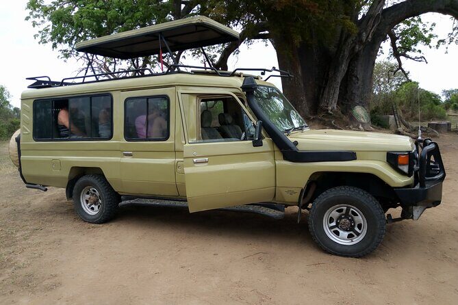 2-Day Private Mikumi National Park Tour with Pickup - Price and Logistics: Is $390 a Good Deal for Two Days?