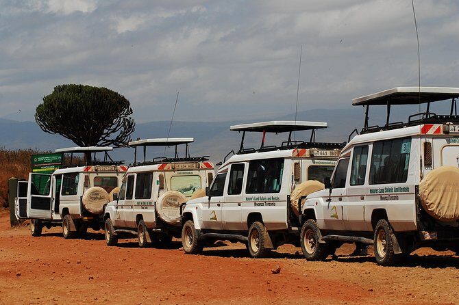 2 Day Serengeti Safari Experience from Mwanza - Serengeti Hippo Pool: A Quick Pass With Real Payoff