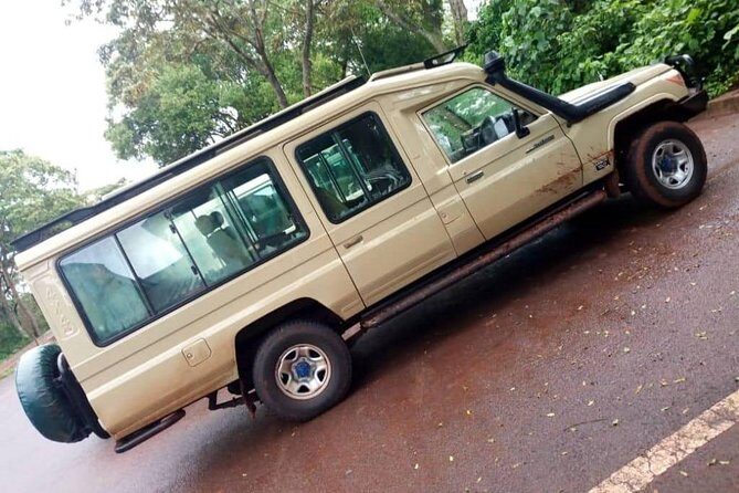 2 days Mid Range Safari in Ngorongoro and Tarangire Big 5 Parks - Ngorongoro Crater Morning Drive: Lions, Rhinos, and 500 Bird Species