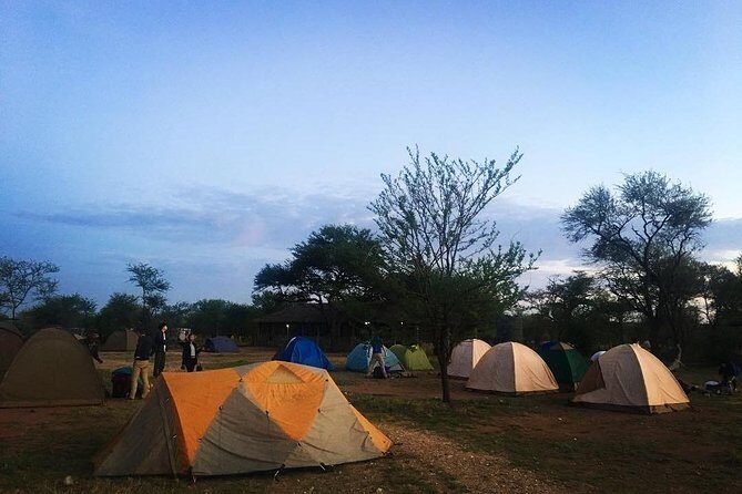 2 days Mid Range Safari in Ngorongoro and Tarangire Big 5 Parks - What You Actually Get Included (and What Costs Extra)