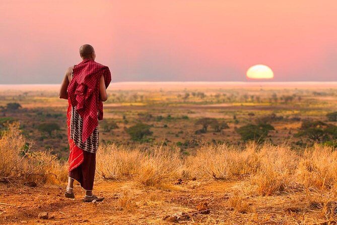 2 days Mid Range Safari in Ngorongoro and Tarangire Big 5 Parks - Tarangire National Park: Elephants, Baobabs, and the Dry-Season “Why Here?”