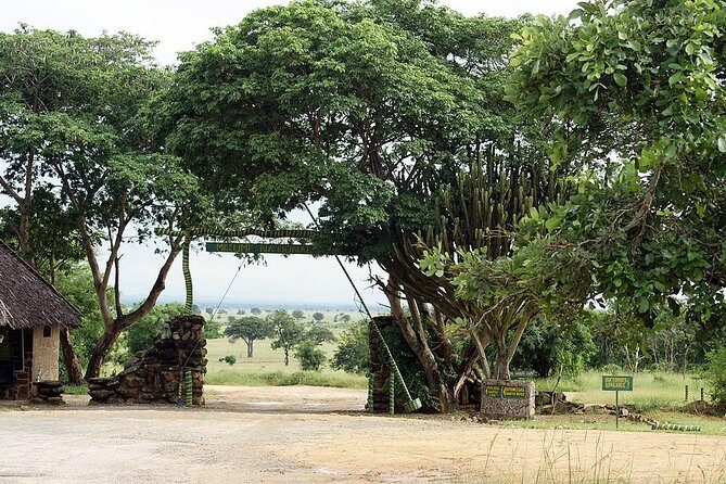2 Days - Mikumi safari depart from Zanzibar or Dar es salaam - Flights and Transfers: The Part You Should Plan for