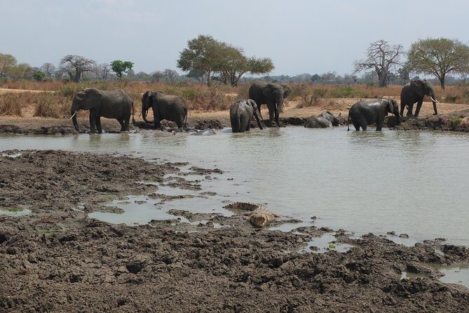 2 nights 3 days safari to mikumi national park - Day 3: quick drop-off day, plus Msolwa Cafe lunch
