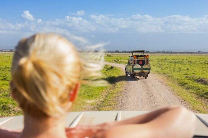 3 Day Classic, Guided Serengeti Safari - The Guides and Communication That Keep Things Smooth