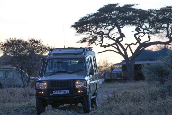 3-Day Classic Serengeti Safari - Why This 3-Day Serengeti + Ngorongoro Combo Works