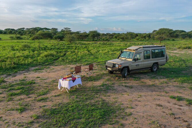 3-Day Classic Serengeti Safari - Full-Day Serengeti Plains Game Drive: More Time to Find Patterns