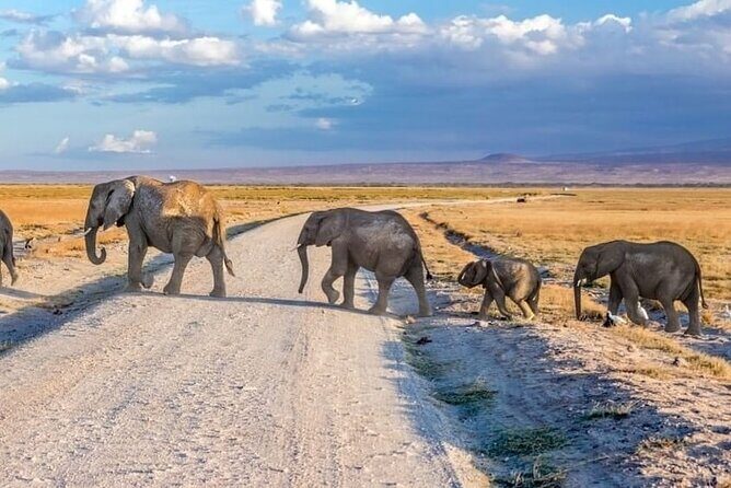 3-Day Ngorongoro Crater Manyara and Tarangire Safari from Arusha - Safari value: $700 for parks, transport, and two nights done right