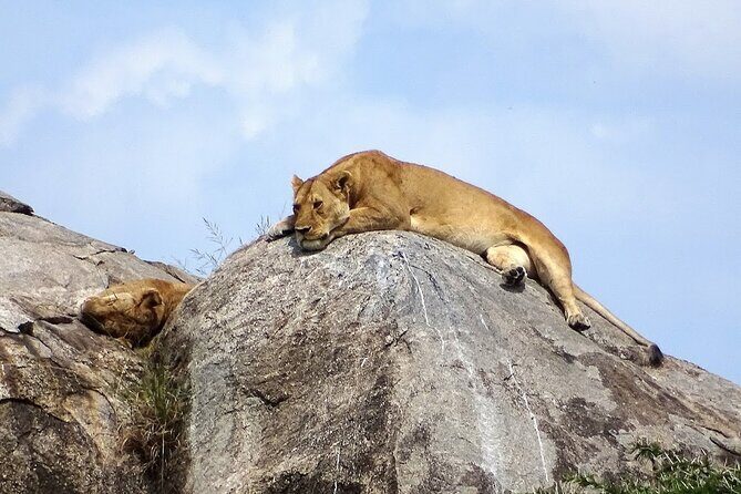 3-Day Ngorongoro Crater Manyara and Tarangire Safari from Arusha - Day 3: Lake Manyara full day with that famous tree-lion vibe