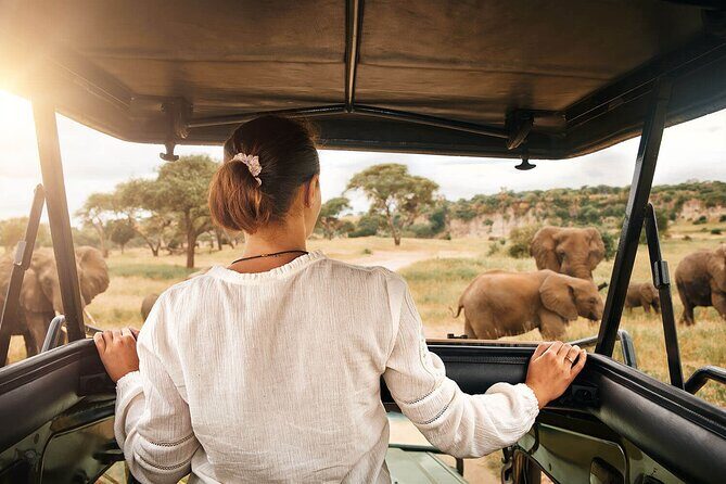 3-Day Tarangire, Ngorongoro and Lake Manyara Camping Safari - Practical tips for your 3-day Tanzania safari plan