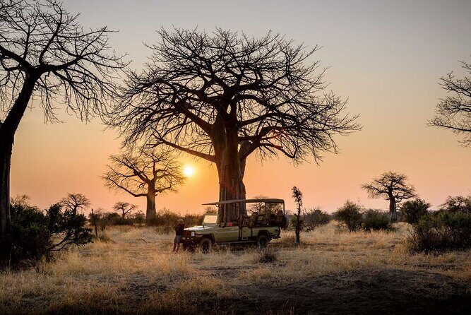 3 Days 2 Nights Group Joining Serengeti and Ngorogoro Safari - Day 3: Ngorongoro Crater Game Drive, Ending Late in the Day