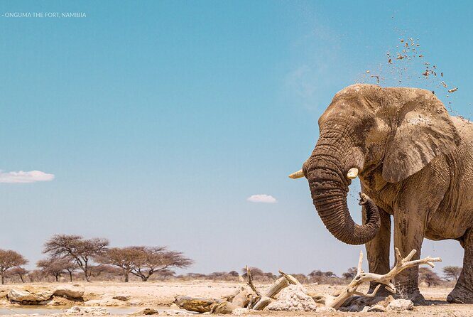 3 Days 2 Nights Group Joining Serengeti and Ngorogoro Safari - Food, Camping Gear, and Real Comfort Expectations