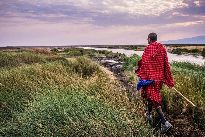 3 Days 2 Nights Group Joining Serengeti and Ngorogoro Safari - Who This Safari Fits (and Who Might Want a Different Style)