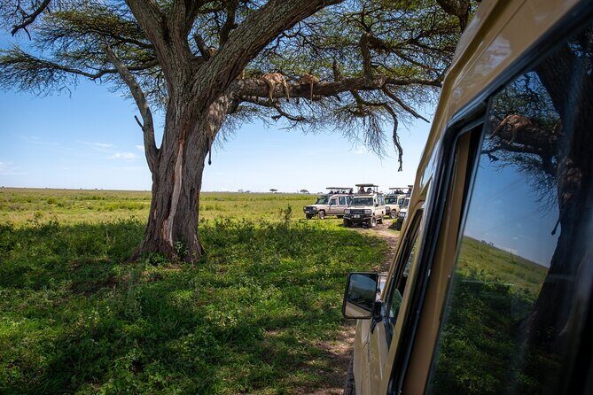 3 Days Group Safari Serengeti & Ngorongoro - Key highlights I’d circle before booking