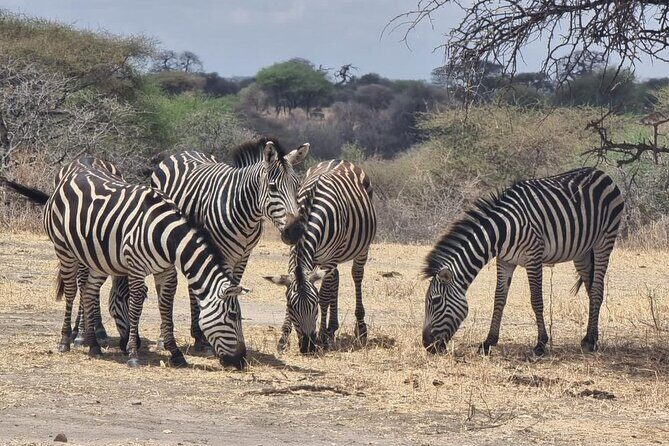 3 Days Group Safari Serengeti & Ngorongoro - What $820 Covers: Value, Not Just a Cheap Ticket