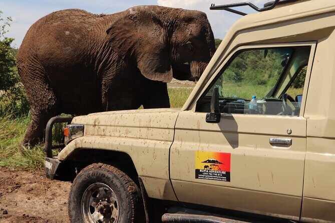 3 Days Private Safari - manyara, Ngorongoro & Tarangire - Entering Arusha day-one: the 7:30 start that makes the safari work