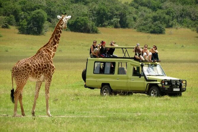3 Days Safari Ngorongoro Crater and Serengeti National Park - Camping nights and the small-group rhythm