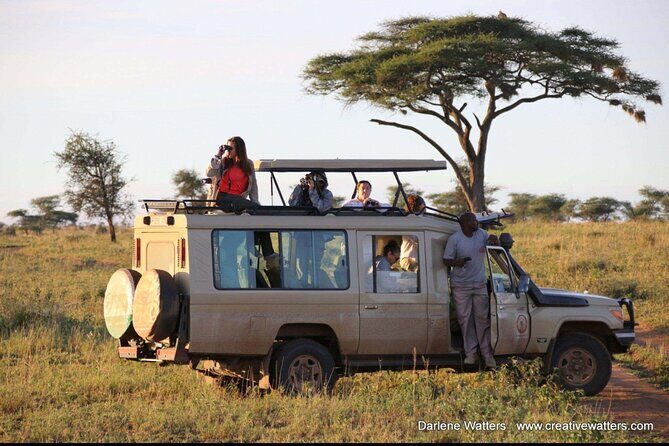 3 Days Safari Ngorongoro Crater and Serengeti National Park - Price and value: where the $810 goes