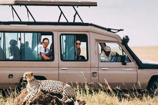 3 Days Safari Ngorongoro Crater and Serengeti National Park - Who this safari is best for (and who should choose something else)
