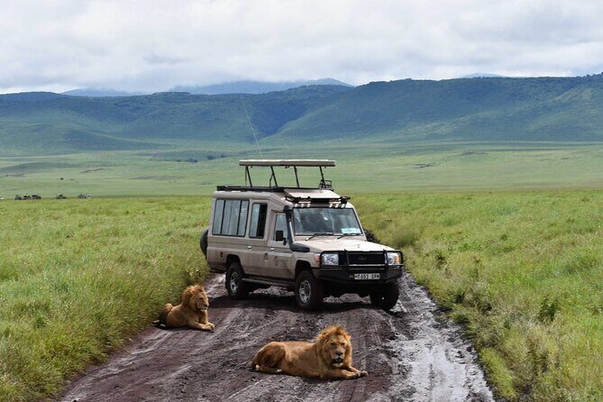 3 Days Safari Ngorongoro Crater and Serengeti National Park - Should you book this 3-day safari?