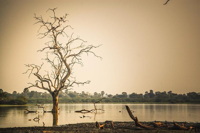3 Days Safari - Selous Game Reserve - Key things to know before you go
