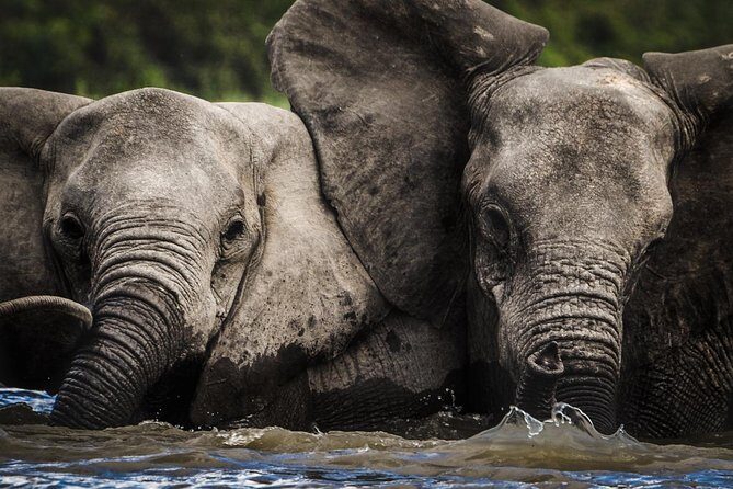 3 Days Safari - Selous Game Reserve - How Selous makes time work on a 3-day safari