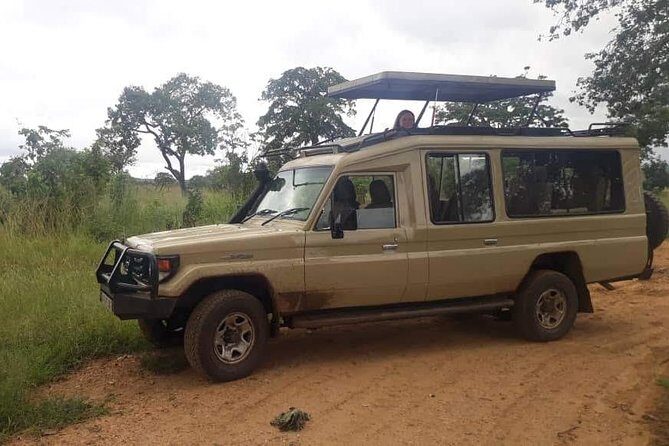 3 Days Safari - Selous Game Reserve - Who should book this Selous safari (and who might choose differently)