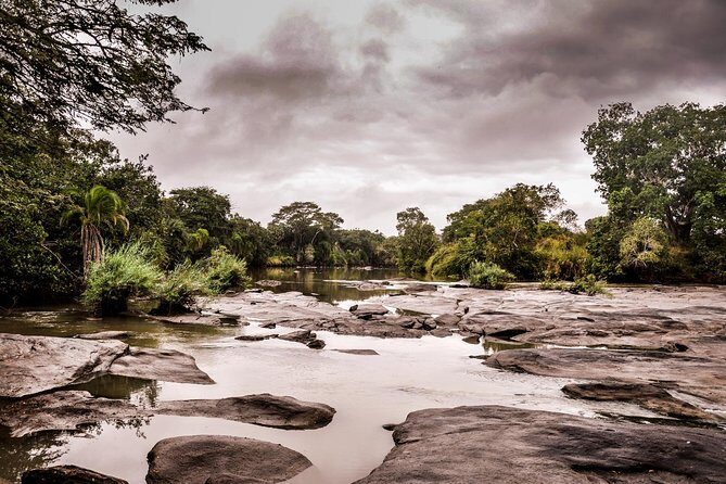 3 Days Safari - Selous Game Reserve - Day 1: Dar transfer, Selous Tented Camp, then the Rufiji River boat safari