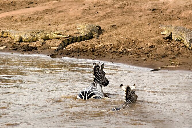 3 Days Safari Serengeti & Ngorongoro Crater - Price and value: what the $750 really covers