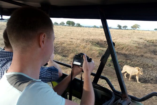 3 Days Safari to Mikumi NP - Accommodation Inside the Park - Day 2: Full-Day Game Drive, Park Lunch Boxes, and Mkata Floodplain Visibility