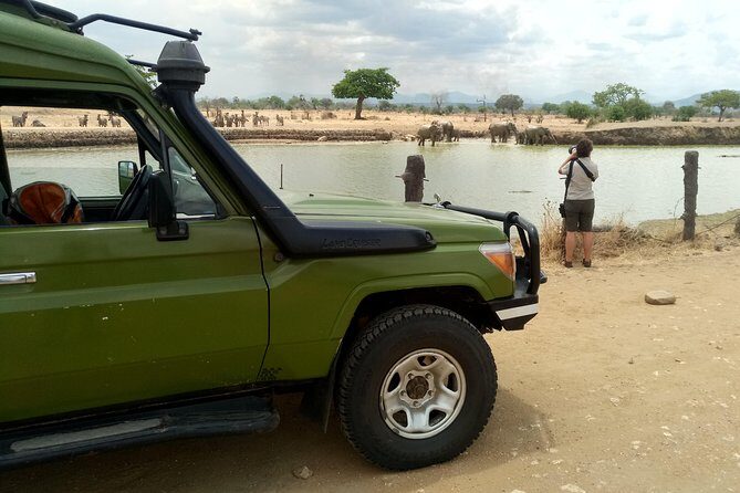 3 Days Safari to Mikumi NP - Accommodation Inside the Park - Day 3: Sunrise Drive, Schedule Differences, Then Back to Dar