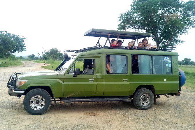 3 Days Safari to Mikumi NP - Accommodation Inside the Park - Professional Guides and the Language Advantage