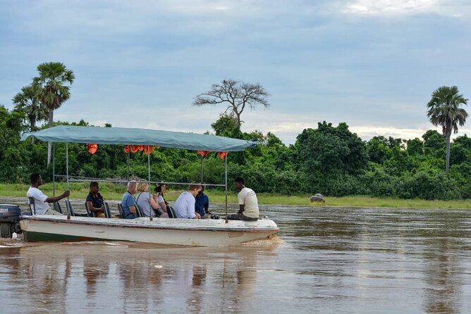 3 Days Selous (Nyerere National Park) - Key moments that make this tour worth your time