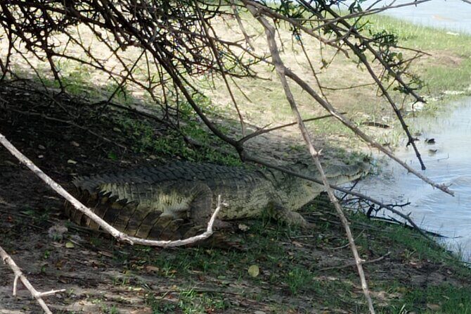 3 Days Selous (Nyerere National Park) - Selous vs Nyerere: why this park feels different