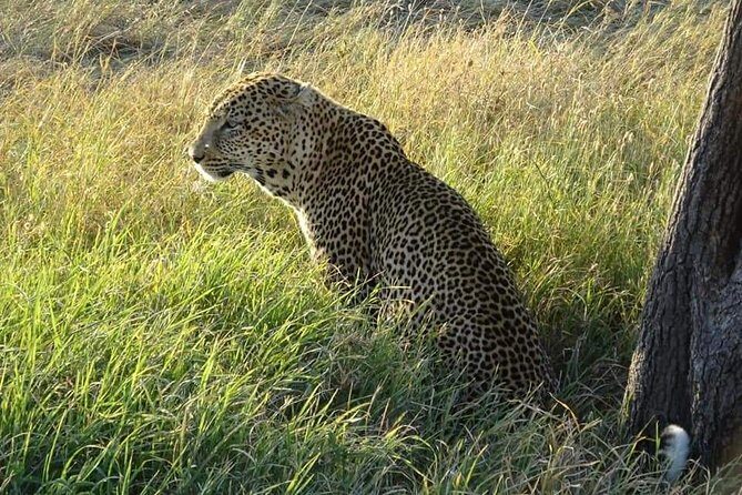3 Days Serengeti & Ngorongoro Tour - UNESCO status: what it means for your day on the ground