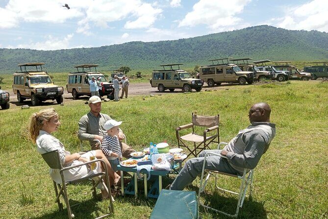 3 Days Small Group Safari to Serengeti NP and Ngorongoro Crater Tour in Tanzania - Who should book this tour, and who might want a different style