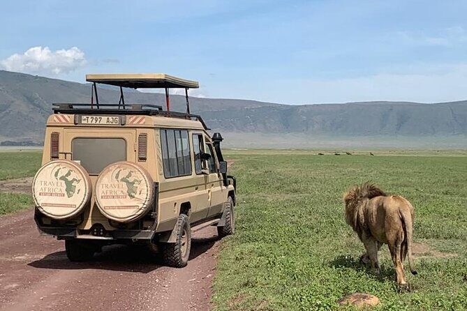 3 Days Small Group Safari to Serengeti NP and Ngorongoro Crater Tour in Tanzania - Day 2: Serengeti half-day drive, then Ngorongoro Conservation Area and Simba Campsite