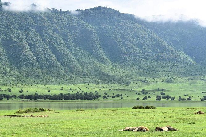 3days Serengeti National park and Ngorongoro Crater Tanzania Safari - Why This Serengeti and Ngorongoro Mashup Works in Just 3 Days
