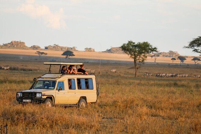 4-Day fascinating Camping Safari in Tanzania - Day 4 inside the crater: the 600-meter descent, predator chances, and Lake Magadi